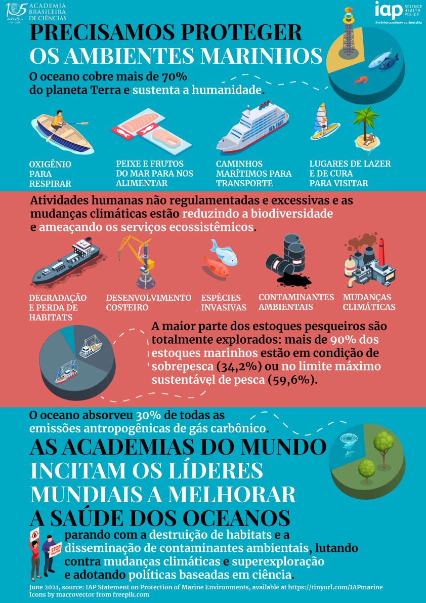 Marine Environmentes Infographic Portuguese